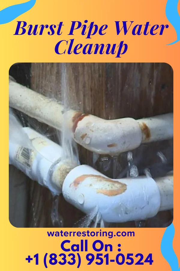 Burst Pipe Water Cleanup in Woodland, AL
